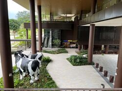 Dairy Farm Residences (D23), Shop House #575631971